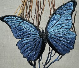 Papillon bleu sous cloche en verre
